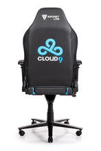 Load image into Gallery viewer, Secretlab OMEGA 2018
