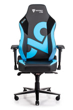 Load image into Gallery viewer, Secretlab TITAN 2018
